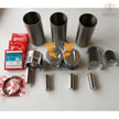 for mitsubishi CAT S3L S3L2 S3L-2 overhaul rebuild repair kit +valve+guide