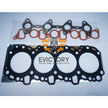 For TOYOTA forklift 1KD-FTV 1KD engine Rebuild kit Hilux Prado LAND CRUISER 3.0L