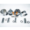 FOR Perkins 404D-22T 404D-22 overhaul rebuild kit piston ring bearing gasket