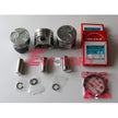 Oversized 0.50mm overhaul kits for KUBOTA D1503 D1703 D1803 diesel engine - pistons ring bearing gaskets